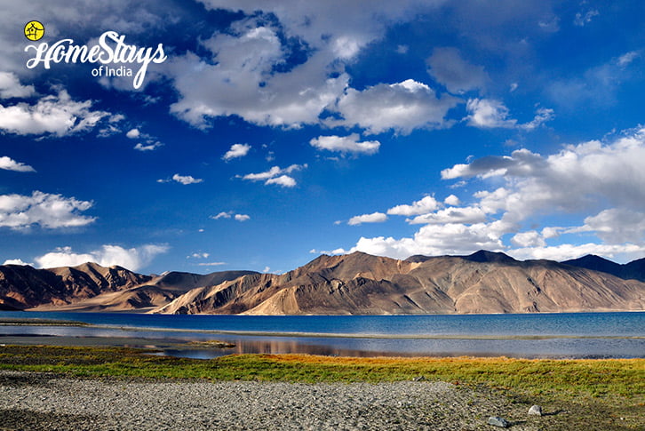Pangong Lake-Spangmik Homestay-Ladakh