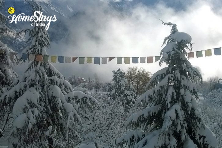 Winter2_Saryo-Homestay-Kalpa
