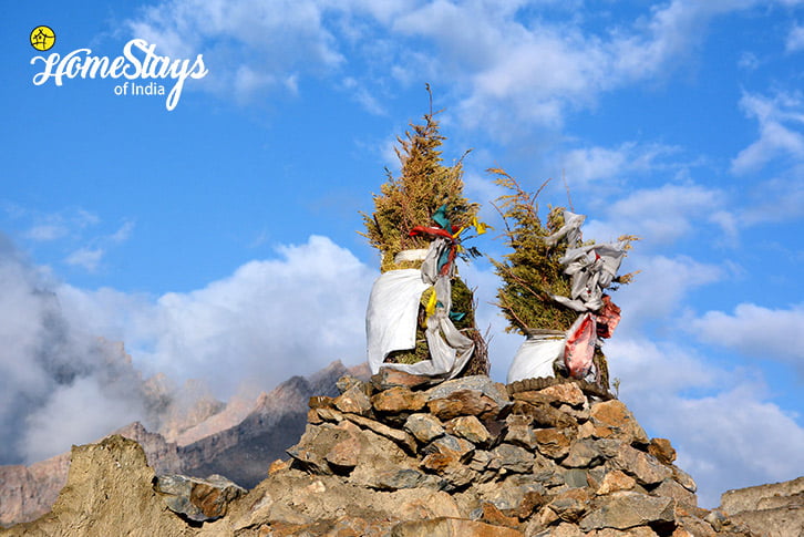 Holy-Tree_Mulbekh-Homestay-Kargil