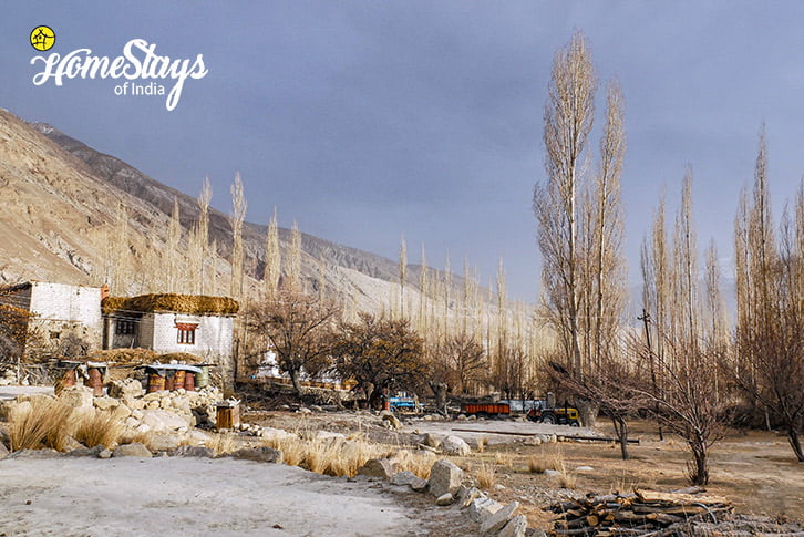 Village-2-Sumur-Homestay-Nubra Valley-Ladakh