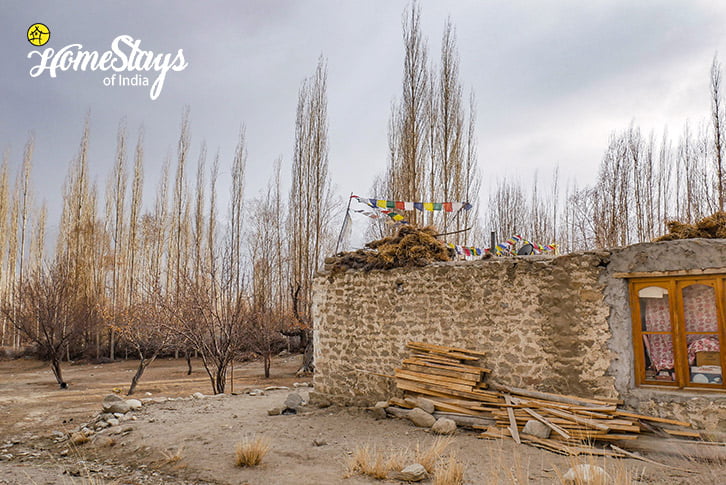 Village-Sumur-Homestay-Nubra Valley-Ladakh