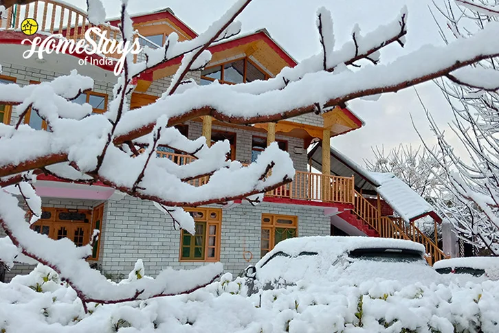 Winter3_Haripur-Homestay-Manali