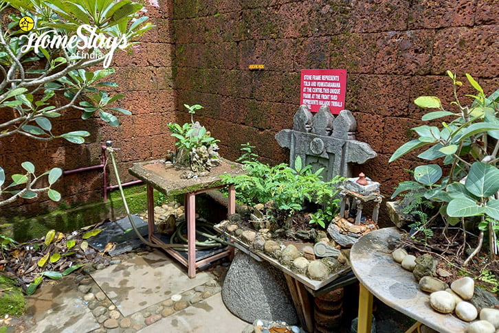 Plants-Ganesha Homestay-Gokarna