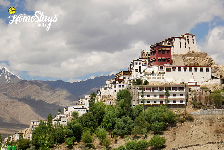 Thiksey Monastery-Thiksey Homestay-Ladakh