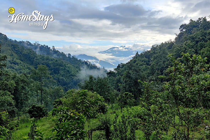 The View-Lebong Riverside Homestay-Darjeeling