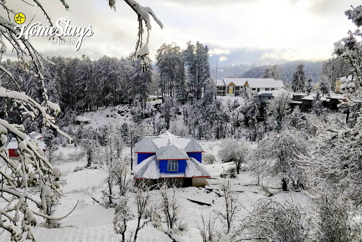 Winter-3-Nathatop Homestay-Patnitop