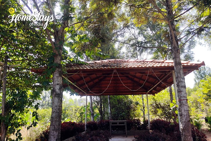 Sitting-Kanive Hill Abode-Chikmagalur