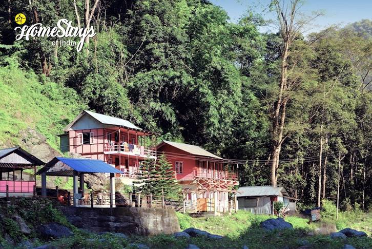 View-2-Stream of Joy Homestay-Reshikhola-Sikkim