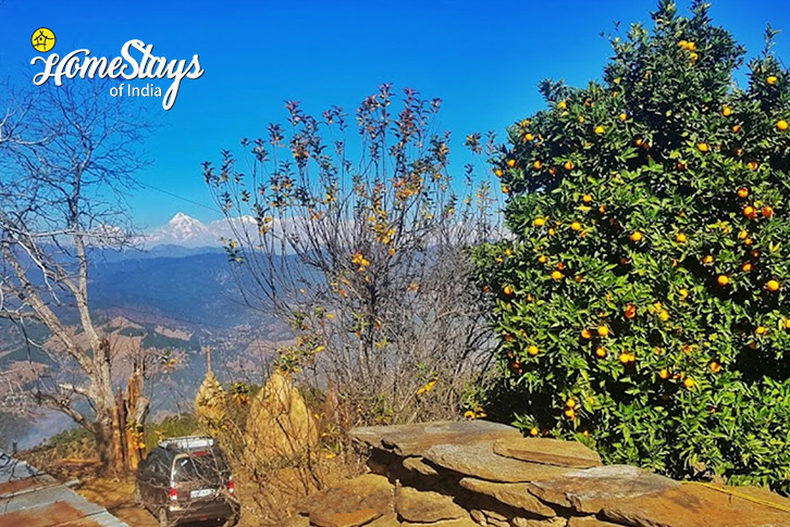 View-1-Peaks and Pines Homestay-Majkhali-Ranikhet
