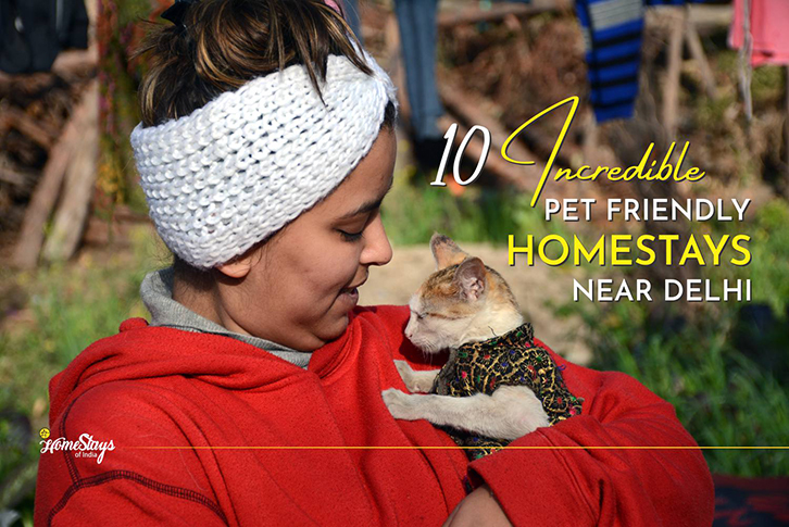 10 Incredible Pet Friendly Homestays Near Delhi