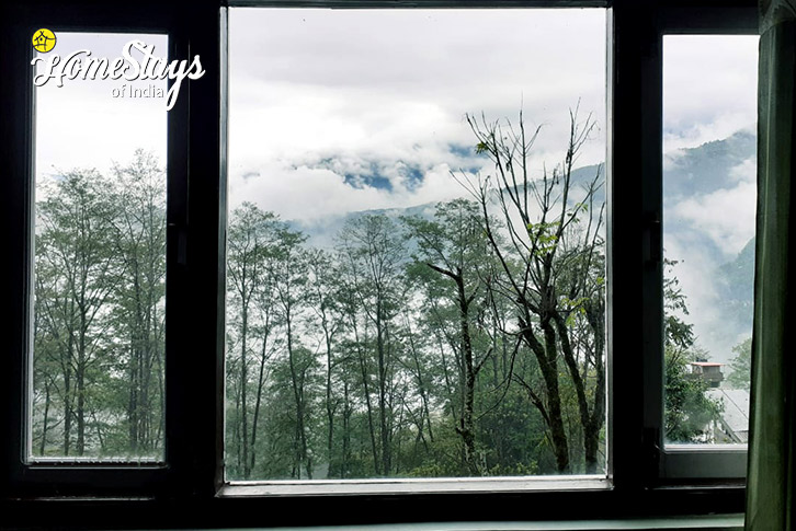 Window-Nature's Courtyard Homestay-Gangtok