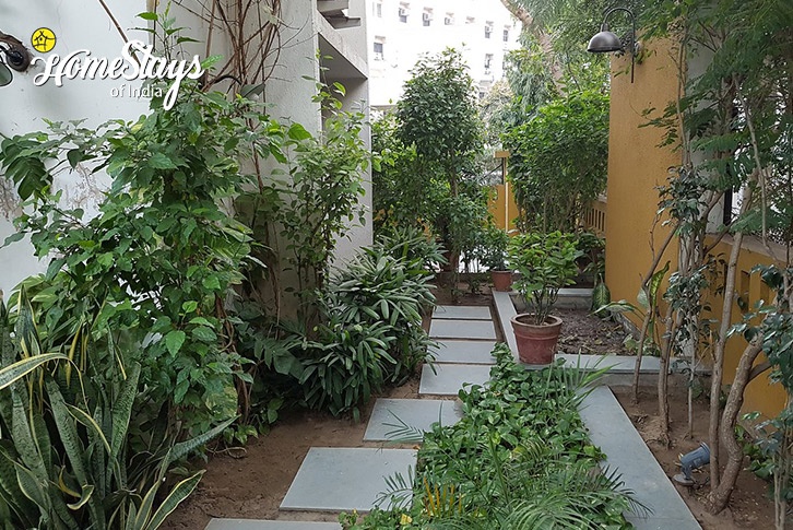 Garden-2-Oasis of Green Homestay-Ahmedabad
