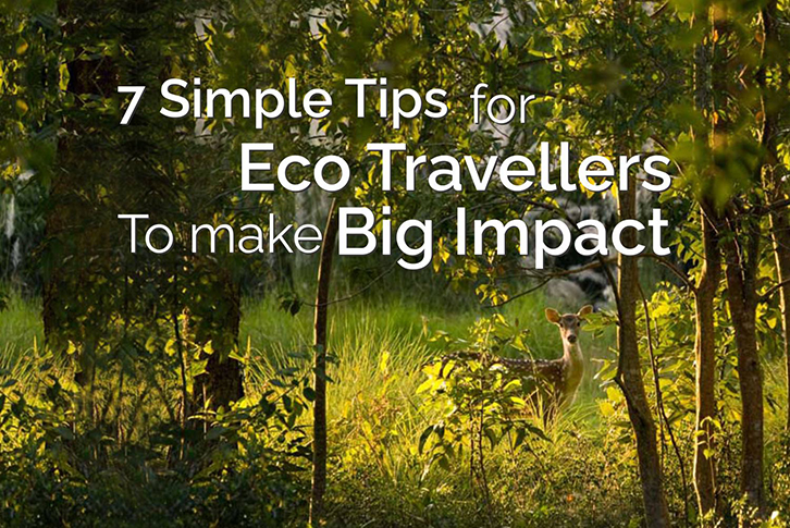 7 Simple Tips for Eco-Travellers to make Big Impact