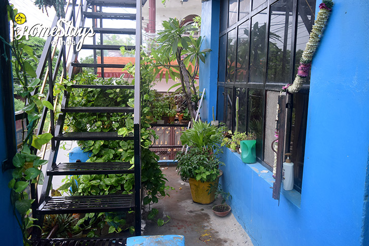 Stairs-The Blue Heaven Homestay - Pathankot