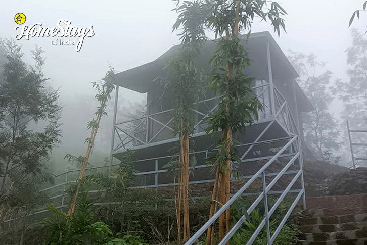 Foggy-Day-Streamedge Homestay, Mananthavady-Wayanad