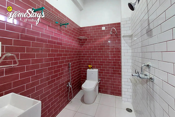 Bathroom-2-Peaceful Oasis Homestay-Chikalwas, Udaipur