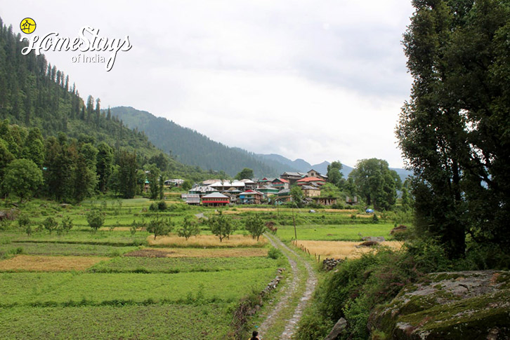 Village View-Nature's Hideout Homestay, Bathad-Banjar