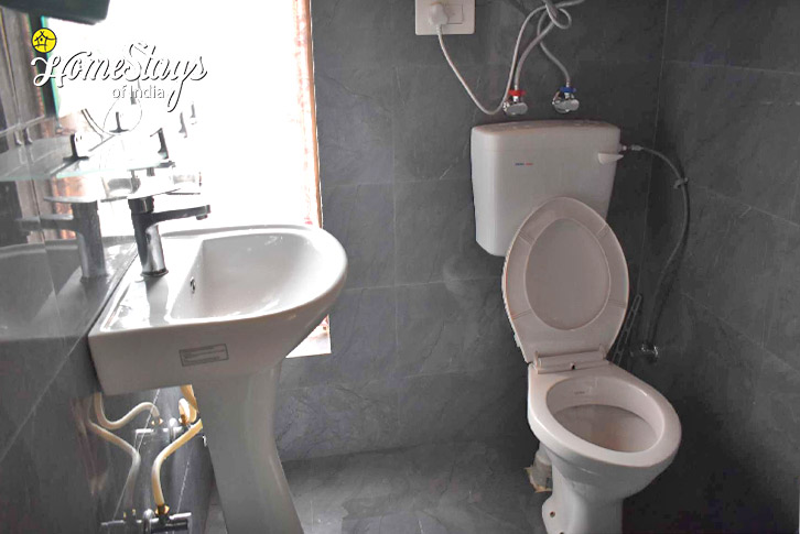 Bathroom-Truly Local Homestay-Srinagar