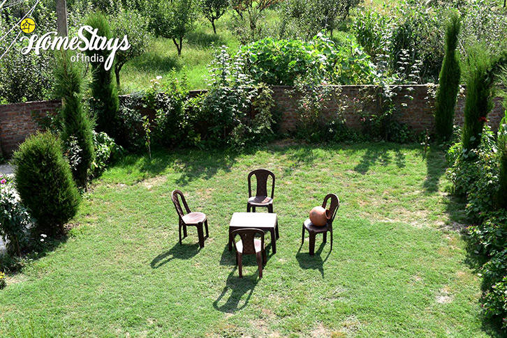 Garden-sitting-Truly Local Homestay-Srinagar