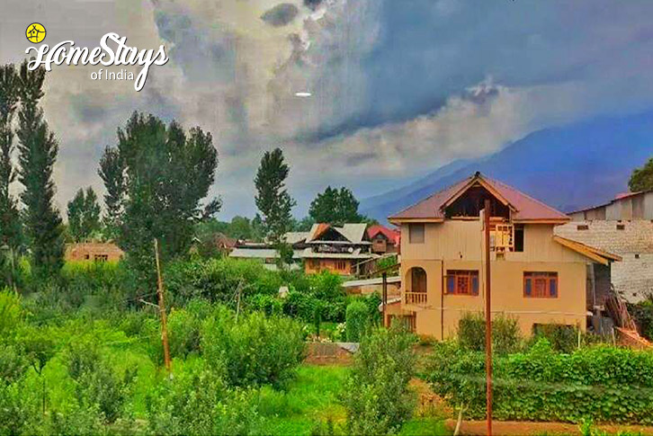 View-Truly Local Homestay-Srinagar