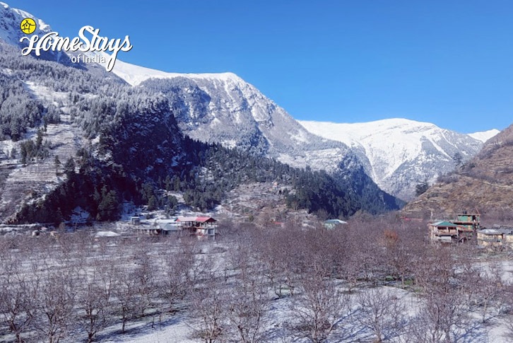 Winter-View-Apple Paradise Homestay-Sangla