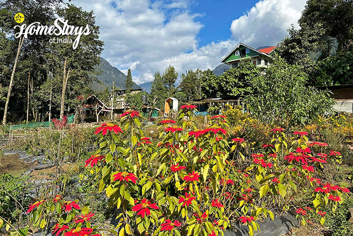 Garden-2-Farmtastic Homestay, Yuksom-West Sikkim