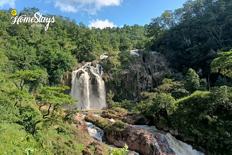 Jhojha-Waterfall-Jhojha-Homestay