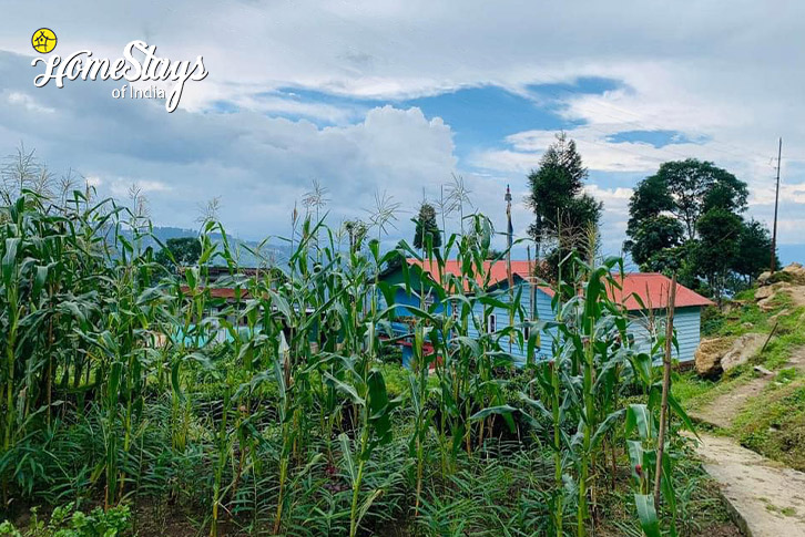 View-High Spirits Farmstay-Dawaipani