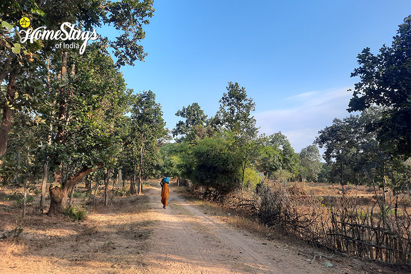 Village-Walk-Jhojha-Homestay