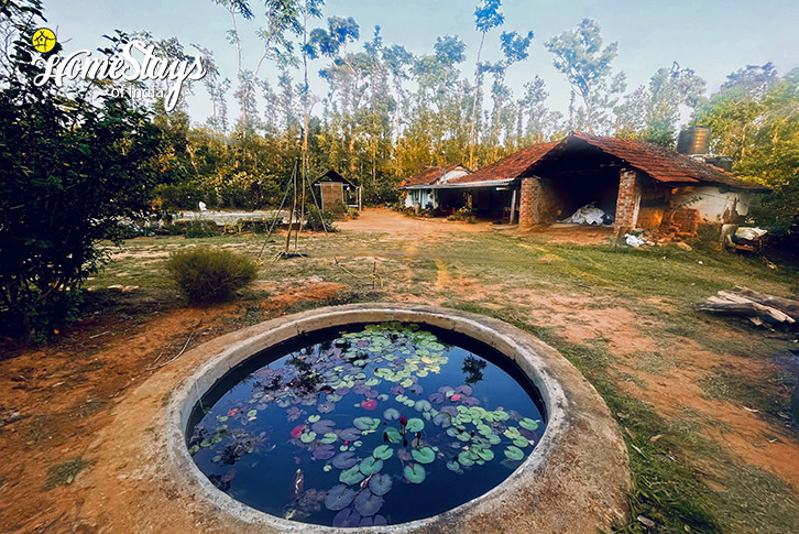 FIsh-spa-by-the-pond-Rustic Soulful Homestay-Chikmagalur