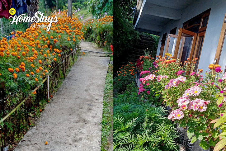 Garden-Pristine Paradise Homestay-Dawaipani