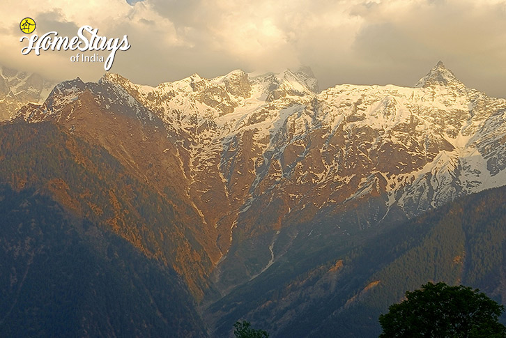 Mountain-View-Serene Escape Homestay-Kalpa