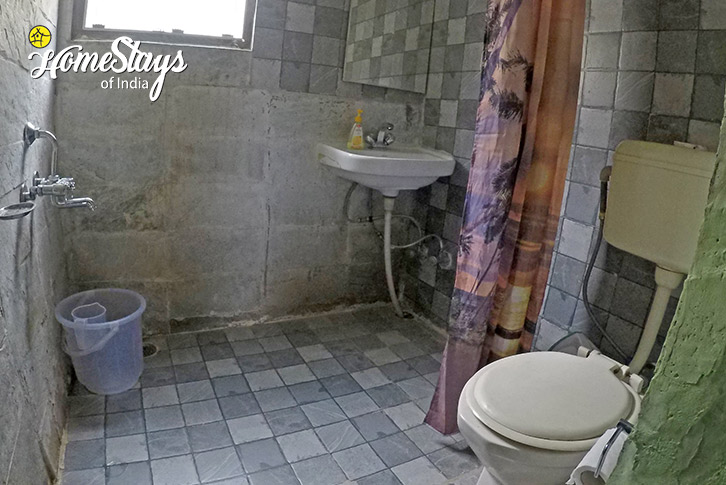Washroom-Green Valley Homestay, Shaleen-Manali