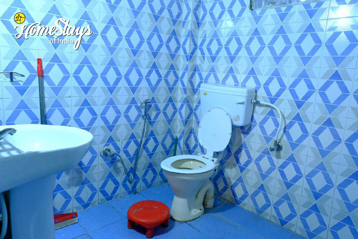 Bathroom-1-Serenade Riverside Homestay-Jibhi