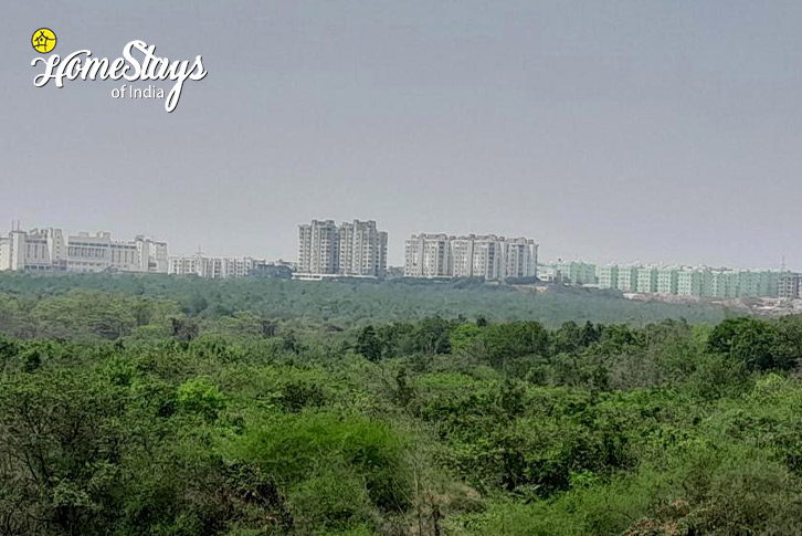 City-View-Urban Bliss Homestay-Bhubaneshwar