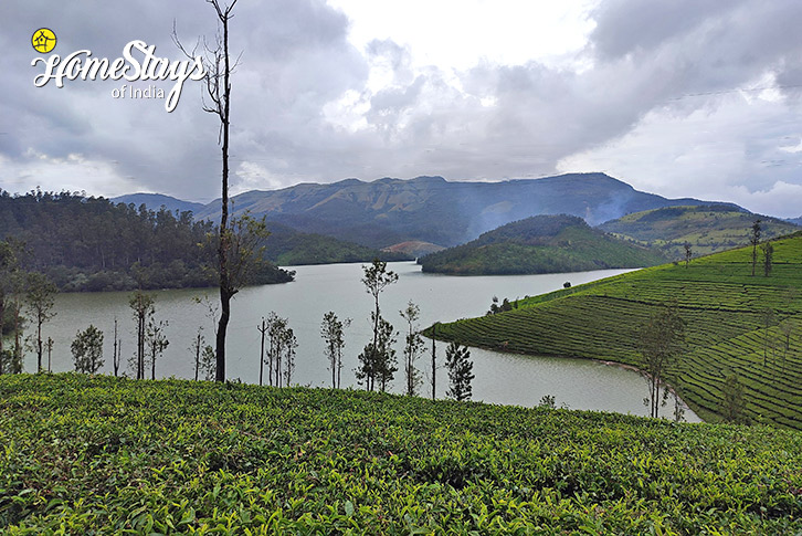 Evening-View-of-lake-Solitude Cottage-Ooty