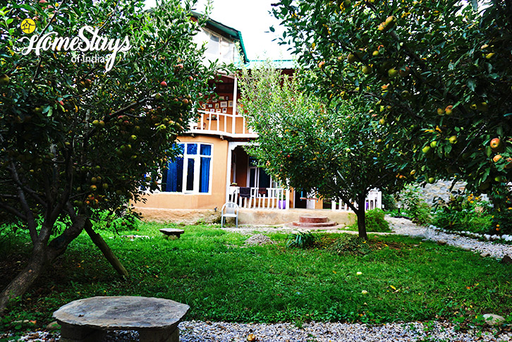 Garden-View-Wonderland Homestay-Naggar-Manali