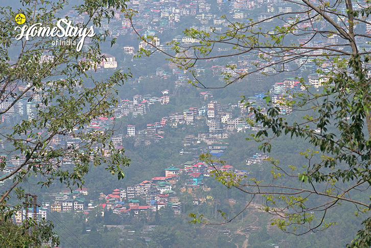 City-View-Farm Fusion Homestay, Rumtek-Gangtok