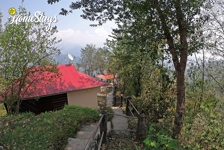 Cottages-View-Farm Fusion Homestay, Rumtek-Gangtok