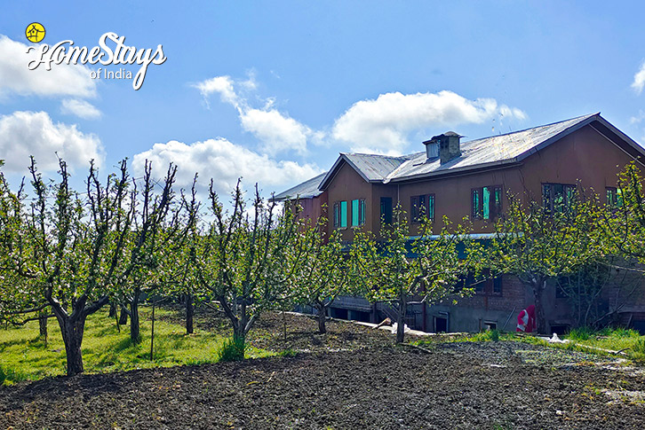 Exterior-Apple Blossom Homestay-Gulmarg