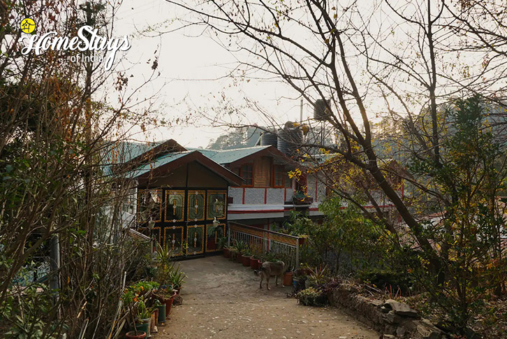 Exterior-Sunshine Homestay-Shimla-