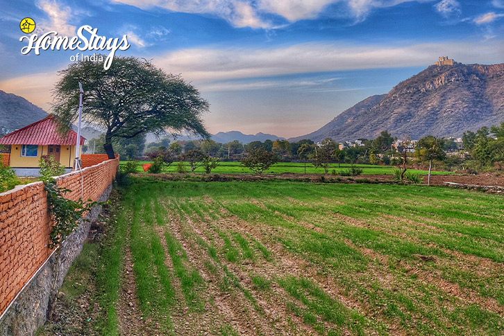 Farmland-Green Pastures Farmstay-Udaipur