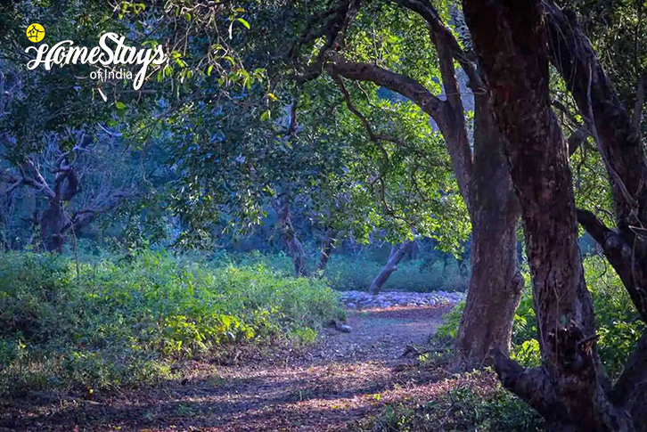 Forest-Remote Charm Cottage, Kurunji-Bhor