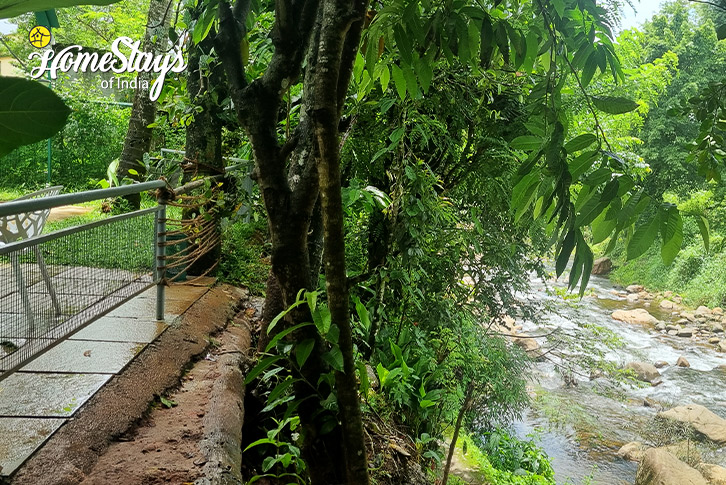 River-View-2-Aesthetic Vibes Riverside Homestay-Wayanad