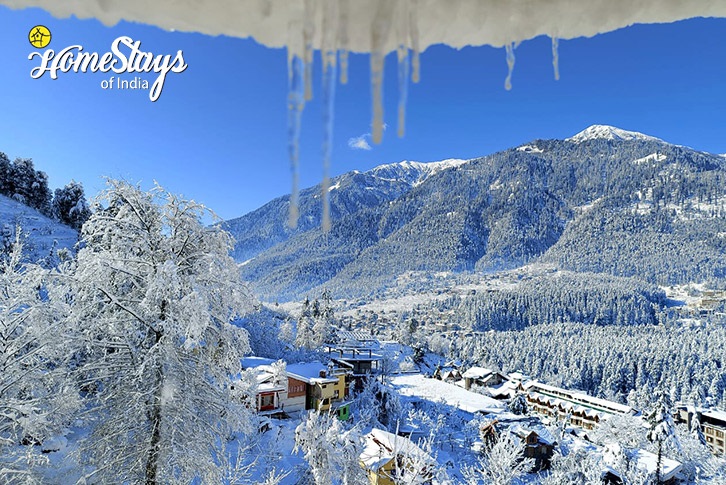 Winter-View-Forest View Homestay,Vashisht-Manali