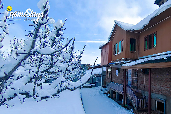 Winter-Apple Blossom Homestay-Gulmarg