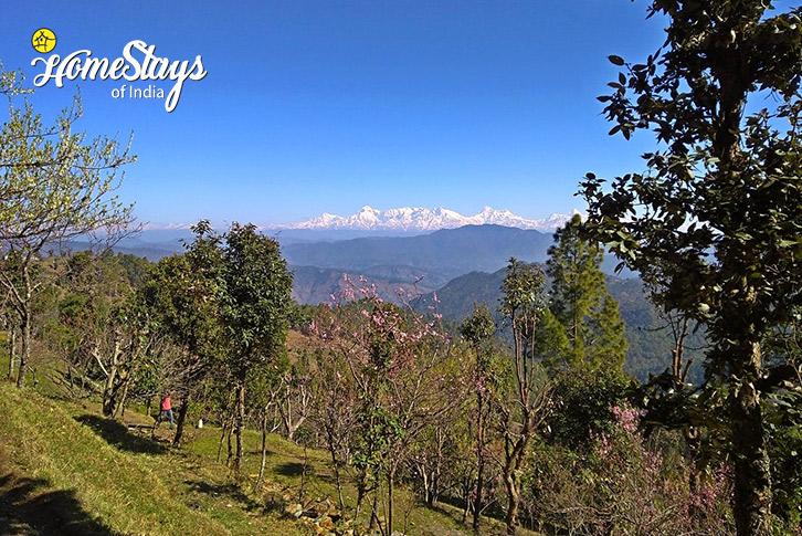 Apple Orchard-Nature's Charisma Homestay, Jalna-Almora