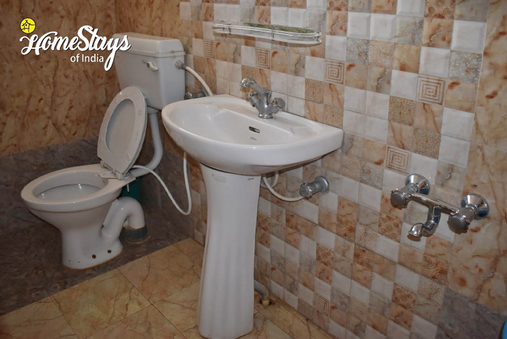 Bathroom-2-Truly Local Homestay-Srinagar