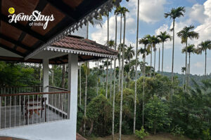 Balcony-View-Meditating Woods Homestay-Wayanad