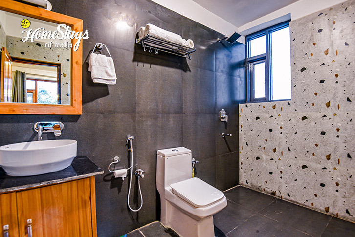 Bathroom-2-Celestia Boutique Homestay-Naggar